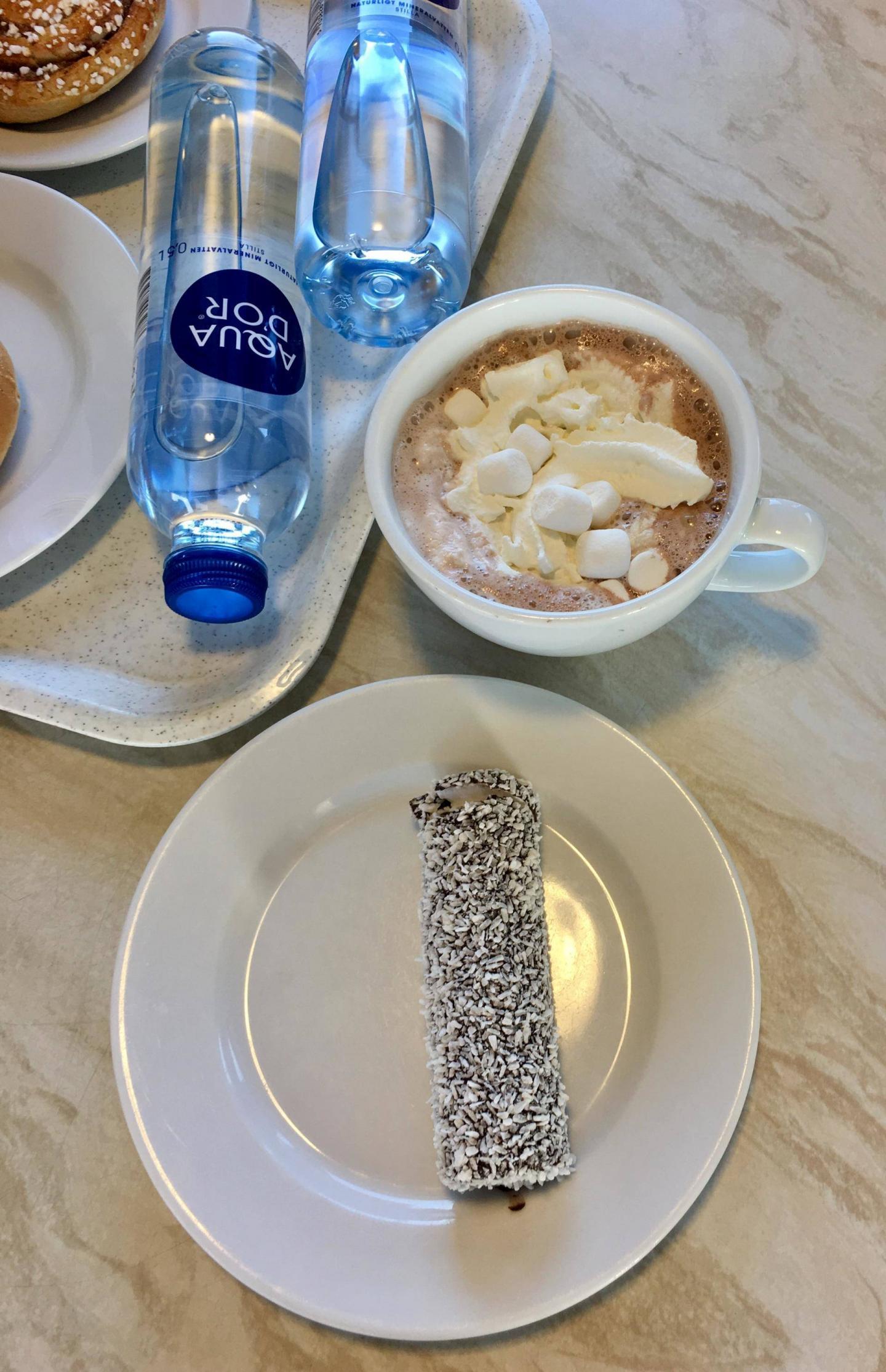 What to do with kids in Gothenburg in winter