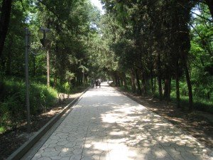 Big Park Tirana IMG 6772 300x225 7 Fun Things To Do in Tirana, Albania